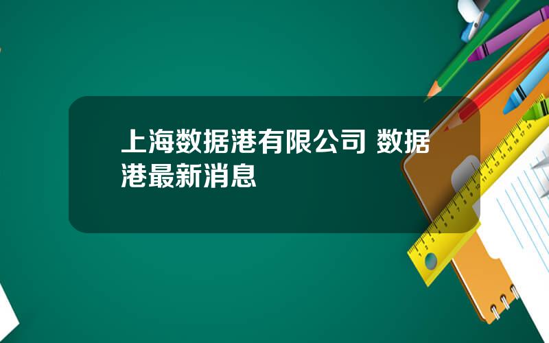 上海数据港有限公司 数据港最新消息